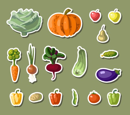 Vintage garden banner with root veggies vector illustrationのイラスト素材