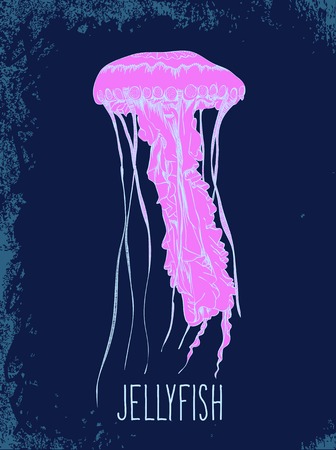 Hand drawn jellyfish. Vのイラスト素材