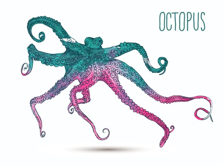 illustration watercolor of hand drawn with octopusのイラスト素材