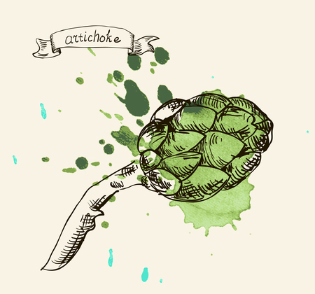 green fresh useful eco-friendly artichokeのイラスト素材