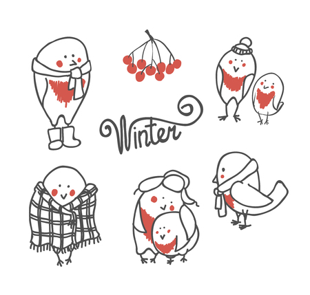 Funny birds bullfinch in cap, white set. Vector illustrationのイラスト素材