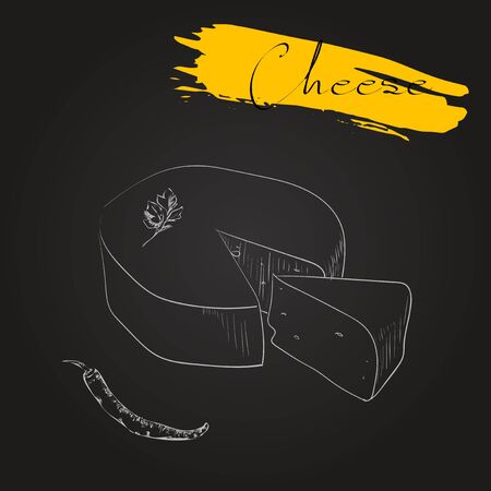 Cheese types. Delicious fresh cheese variet cheese making various types of cheese of vector cheese Vector organic food illustration. on black backgroundのイラスト素材