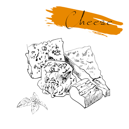 Cheese types. Delicious fresh cheese variet cheese making various types of cheese of vector cheese Vector organic food illustration. on a white backgroundのイラスト素材