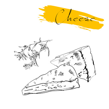 Cheese types. Delicious fresh cheese variet cheese making various types of cheese of vector cheese Vector organic food illustration. on a white backgroundのイラスト素材