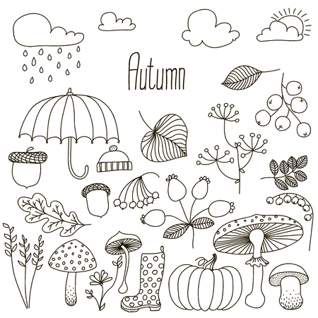 Hand drawn doodle Autumn icons set. Vector illustration. Fall symbols collection. Cartoon various seasonal elementsのイラスト素材