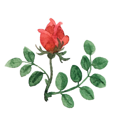 Floral background. Watercolor vector texture. Birthday card. decorative frameのイラスト素材