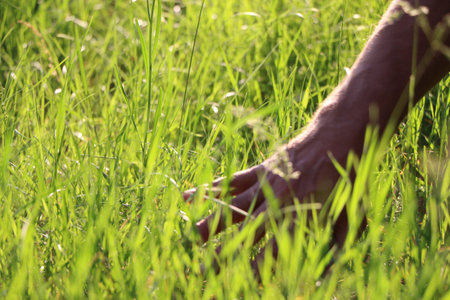 The man's right hand is touching the grass with dew.の写真素材