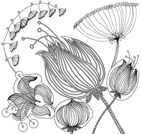 Set of floral graphic design elements for coloring bookのイラスト素材