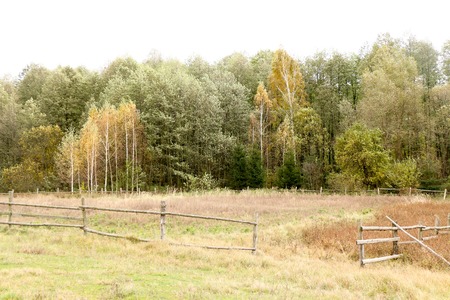 Autumn landscape. Dark clouds over the autumn forest. Yellowed grass in the field.の写真素材