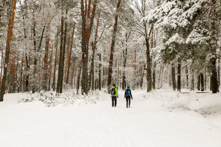 People walk in the woods in winter. Lots of snow, fabulous nature. Boy and girl Young couple Lovers...