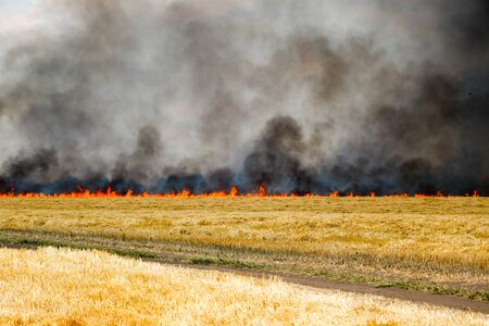 Forest and steppe fires dry completely destroy the fields and steppes during a severe drought. Disaster brings regular damage to nature and economy of region. Lights field with the harvest of wheat, tornadoの写真素材