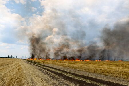 Forest and steppe fires dry completely destroy the fields and steppes during a severe drought. Disaster brings regular damage to nature and economy of region. Lights field with the harvest of wheat, tornadoの写真素材