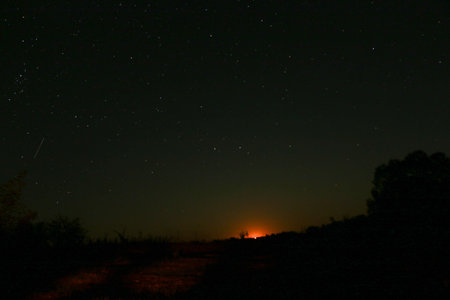 Starry sky and a rising moon against the backdrop of a natural landscape, a clear night in Ukraine,...