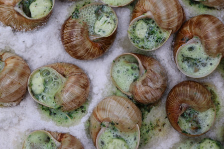 grape snails, akhatina, on a red plate, as crude food, a rawism and as a delicious dish Burgundy...