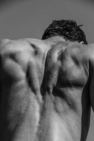 Black and white image of a muscular man, athletic body, handsome masculine muscle shapes, relief. Beautiful strong and flexible body, sexy attractive.の写真素材