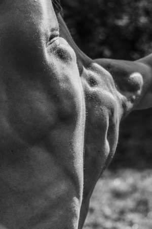 Black and white image of a muscular man, athletic body, handsome masculine muscle shapes, relief. Beautiful strong and flexible body, sexy attractive.の写真素材