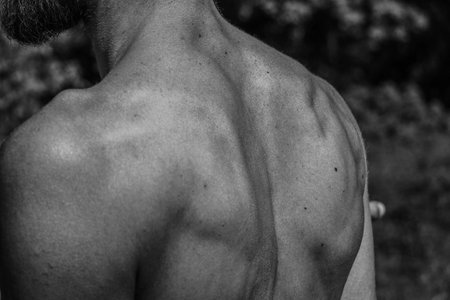 Black and white image of a muscular man, athletic body, handsome masculine muscle shapes, relief. Beautiful strong and flexible body, sexy attractive.の写真素材