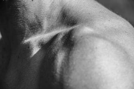Male hands close-up Black and white image of a muscular man, athletic body, beautiful masculine forms of muscles, relief. Beautiful strong and flexible body, sexy attractive.の写真素材