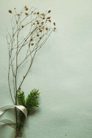 Christmas design - branch of dry grass, fir tree branches on Gray background. Flat lay, top view, copy spaceの写真素材