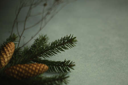 Christmas composition. Christmas decorations, branch of dry grass, fir tree branches on Gray background. opy spaceの写真素材