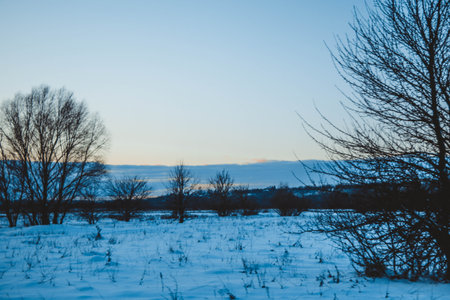 beautiful winter landscape, sunset with clouds, forest in the distance, field and trees all in the snow, frosty sunny evening, Ukraineの写真素材