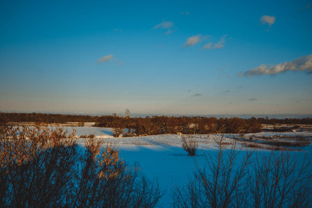 beautiful winter landscape, sunset with clouds, forest in the distance, field and trees all in the snow, frosty sunny evening, Ukraineの写真素材