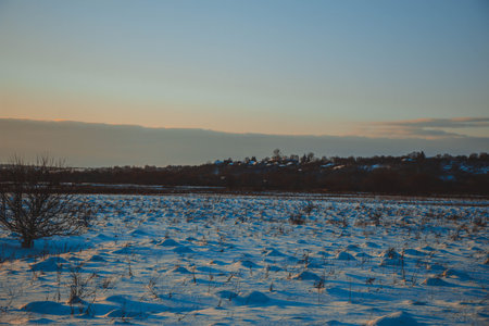 beautiful winter landscape, sunset with clouds, forest in the distance, field and trees all in the snow, frosty sunny evening, Ukraineの写真素材