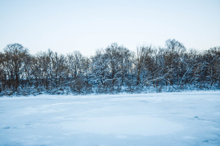 beautiful winter landscape, sunset with clouds, forest in the distance, field and trees all in the snow, frosty sunny evening, Ukraineの写真素材