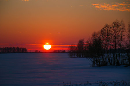 beautiful colored Sunset winter landscape with snow-covered field in purple and pink colors....