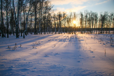 beautiful colored Sunset winter landscape with snow-covered field in purple and pink colors....