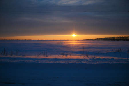 beautiful colored sunset winter landscape with snow-covered field in purple and pink colors. Silhouettes of trees and shiny snow. Dry herbs in the snow.の写真素材