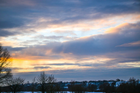 beautiful colored sunset winter landscape with snow-covered field in purple and pink colors. Silhouettes of trees and shiny snow. Dry herbs in the snow.の写真素材