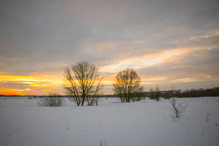 beautiful colored sunset winter landscape with snow-covered field in purple and pink colors. Silhouettes of trees and shiny snow. Dry herbs in the snow.の写真素材