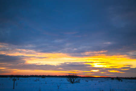 beautiful colored sunset winter landscape with snow-covered field in purple and pink colors. Silhouettes of trees and shiny snow. Dry herbs in the snow.の写真素材