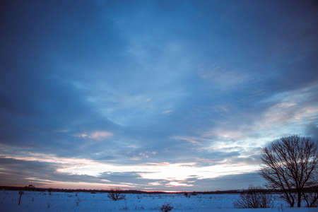 beautiful colored sunset winter landscape with snow-covered field in purple and pink colors. Silhouettes of trees and shiny snow. Dry herbs in the snow.の写真素材