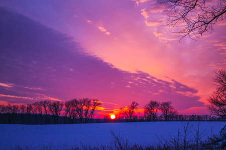 Winter bright sunset over a snow-covered field with trees in the foreground. Beautiful background with a place for your inscription. Ukraine, Shostkaの写真素材