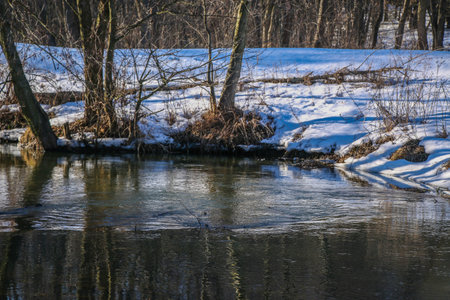 A small river in winter, the sun's rays make their way through the bare trees. Snowy shores are...