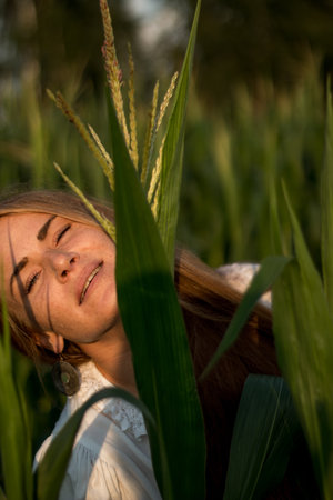 Young beautiful woman with long red hair between green leaves on a corn field in summer, in the light of the setting sun.の写真素材