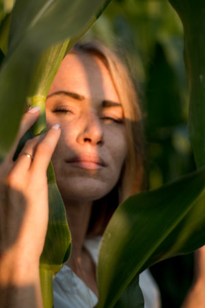 Young beautiful woman with long red hair between green leaves on a corn field in summer, in the light of the setting sun.の写真素材