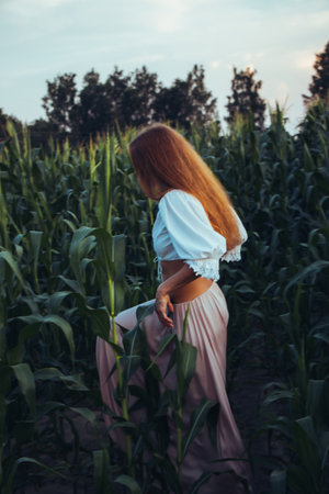 Young beautiful woman with long red hair between green leaves on a corn field in summer, in the light of the setting sun.の写真素材