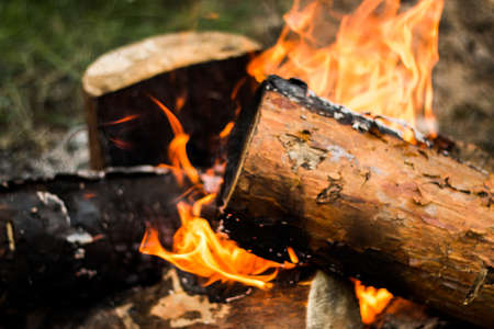 Firewood burns in a fire with smoke coming out of it. Bonfire from beautiful pine logs on the grass, in summer. Beautiful natural background.の写真素材