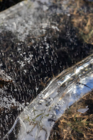 Abstract view, ice illuminated by the setting sun, patterns of frozen air bubbles, blades of grass and leaves. Beautiful pie background, natural texture.の写真素材
