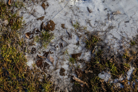 Abstract view, ice illuminated by the setting sun, patterns of frozen air bubbles, blades of grass and leaves. Beautiful pie background, natural texture.の写真素材