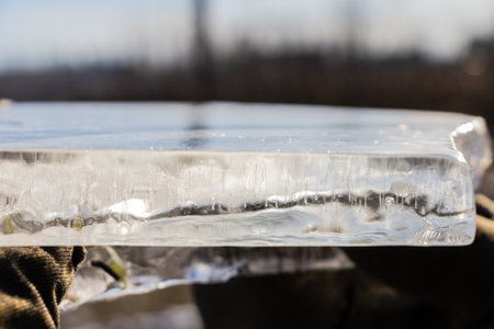 Abstract view, ice illuminated by the setting sun, patterns of frozen air bubbles, blades of grass and leaves. Beautiful pie background, natural texture.の写真素材