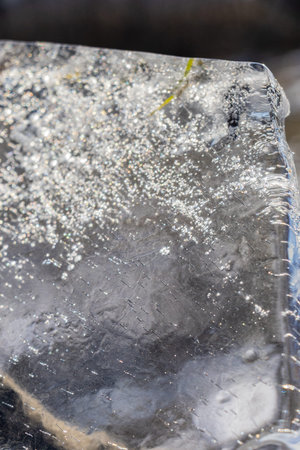 Abstract view, ice illuminated by the setting sun, patterns of frozen air bubbles, blades of grass...