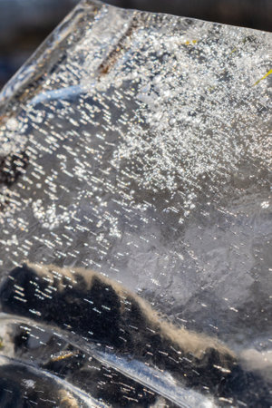 Abstract view, ice illuminated by the setting sun, patterns of frozen air bubbles, blades of grass and leaves. Beautiful pie background, natural texture.の写真素材