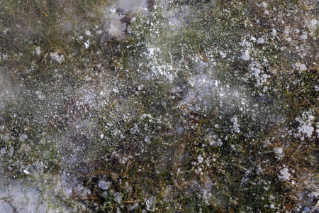 Abstract view, ice illuminated by the setting sun, patterns of frozen air bubbles, blades of grass and leaves. Beautiful pie background, natural texture.の写真素材