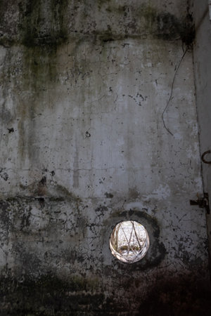 Old and dirty wall of the interior of a failed factory. Traces of production, mold, drips from liquids. Beautiful texture, background for your designの写真素材