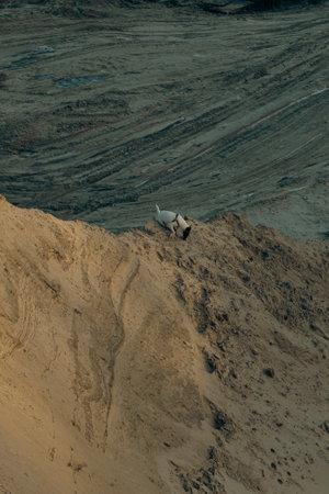 Sandy landscape. Sand mountains. Annual sand close-up. Selective focus. Beautiful natural background for your designの写真素材