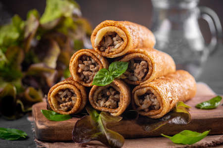 Savory pancake rolls stuffed with ground meat, rice and fried onion. Dark background.の写真素材